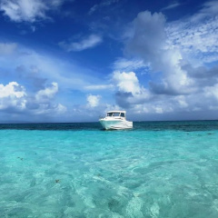 Port Morgan thumbnail 9