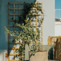 Bango Loft - Bild 13