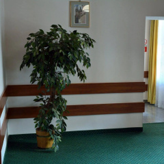 Nobilton Hotel - Bild 14