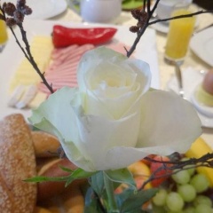 Pension Scherwirt - Bild 11