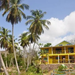 Yellow Home Casa Baja thumbnail 7