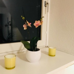 Apartment Braunschweig - Charlys Home - Bild 5
