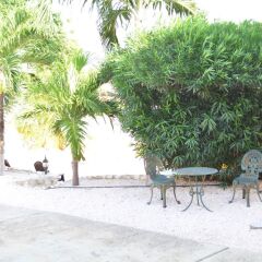 Mirador Apartments in Willemstad, Curacao from 85$, photos, reviews - zenhotels.com photo 33