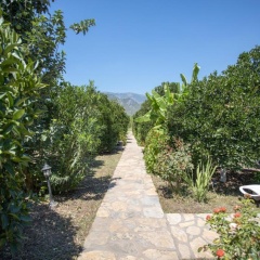 Ugur Pansiyon Bungalows - Bild 10