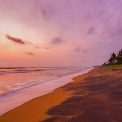 Taprobana Wadduwa by Asia Leisure thumbnail 29