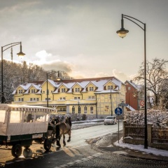 Boutiquehotel Schlosspalais - Bild 14