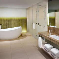 Hyatt Regency Dubai Creek Heights Residences thumbnail 24