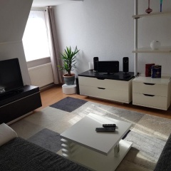 Apartment am Südpark - Bild 1