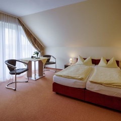 Elbterrassen zu Brambach - Bild 4