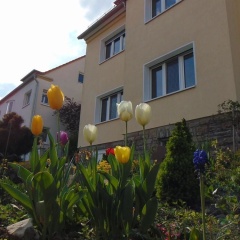 Apartment Avanzato - Bild 1