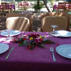 Cirali Olympos Hotel - Bild 16
