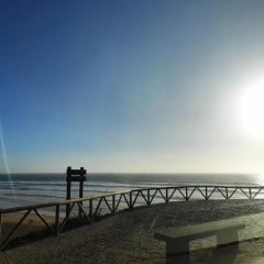 Sunset House thumbnail 12
