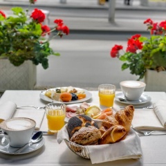 Hotel Euler - Bild 11