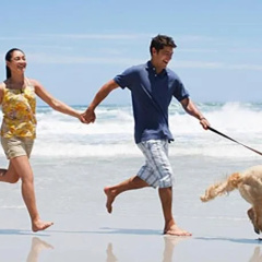 Terrazze del Mare thumbnail 25