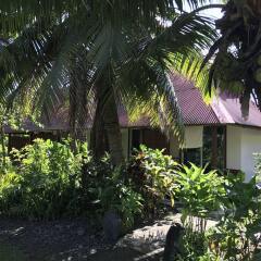 Punatea Village in Papao, French Polynesia from 59$, photos, reviews - zenhotels.com photo 3