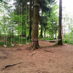 Bocksbergblick Appartement 507 im Ferienpark Hahnenklee Haus 1 - Bild 3