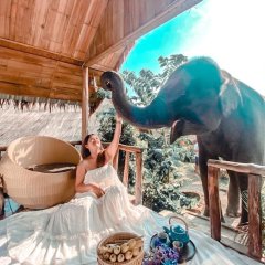 Mai Wang Elephant Homestay in Mae Wang, Thailand from 39$, photos, reviews - zenhotels.com photo 17