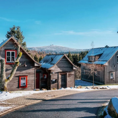Chalet in Harz With Sauna & Brocken Views - Bild 12
