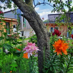 Apartments Sonne am Sund - Bild 1