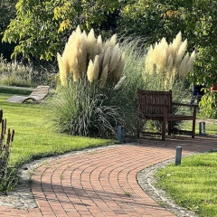 Gut am See Hotel & Restaurant - Bild 14