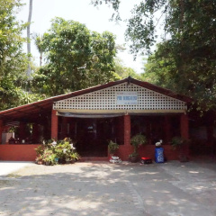 Pine Bungalow - Bild 15