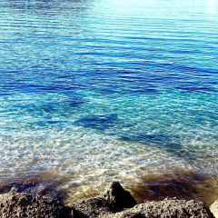 Miramar Hotel Soller - Bild 16