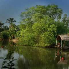 The Riverwood Forest Retreat- Dooars thumbnail 3