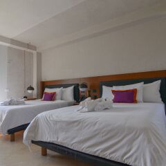 Отель Mex Hoteles Мексика, Канкун - отзывы, цены и фото номеров - забронировать отель Mex Hoteles онлайн фото 41