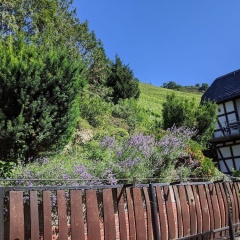 Hotel Pension Winzerhaus - Bild 12