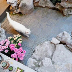 Xiao Yuaner Bed and Breakfast thumbnail 9