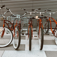 Pod Brooklyn - Bild 19