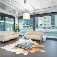 Swiss Apartments Interlaken thumbnail 13