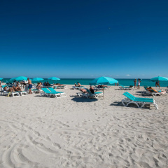 The Plymouth South Beach thumbnail 27