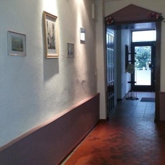 Schwarzer Adler - Bild 3