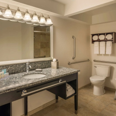 Hampton Inn Chicago Downtown/Magnificent Mile thumbnail 9