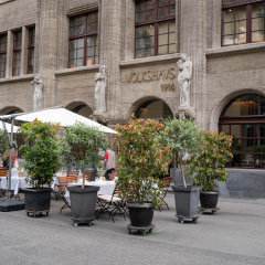Best Western Plus Hotel Bern - Bild 1