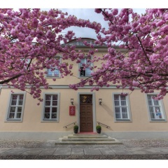 Am Groen Waisenhaus - Bild 1