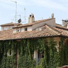 Coronari Palace - Bild 1