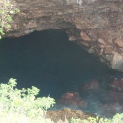 Saipan Marine Dive & Guest House in Saipan, Northern Mariana Islands from 74$, photos, reviews - zenhotels.com photo 46