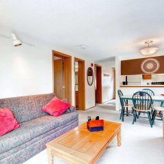Mark IX By Peak Property Management thumbnail 3