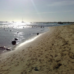 Porto Antigo Beach Front Studio thumbnail 7