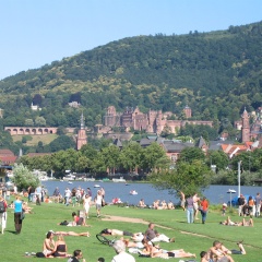 Wohlfühl - Hotel Neu Heidelberg - Hotel Heidelberg - Bild 19