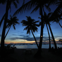 The Rose Pike at Boracay thumbnail 13