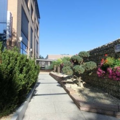 bluhotel Freiburg - Bild 8