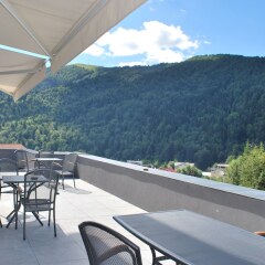 Hotel Carpat Inn in Azuga, Romania from 208$, photos, reviews - zenhotels.com photo 8