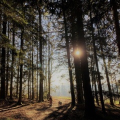Feriendorf Büchlberg - Bild 15
