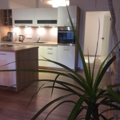 Ferienwohnung Passau - Bild 8