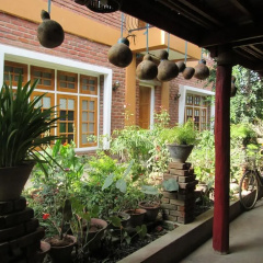 Teak Wood Hotel thumbnail 10