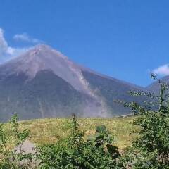 Casa Landivar Hotel in Antigua Guatemala, Guatemala from 89$, photos, reviews - zenhotels.com photo 18