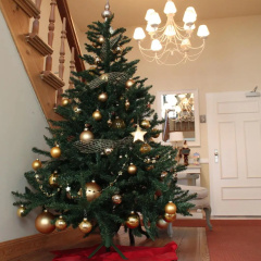 Hotel Villa Sommer - Bild 8